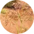 100% Cyperus Rotundus
